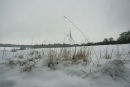 Snow II